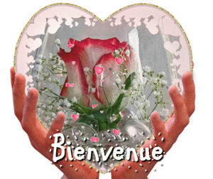 Gif animé bienvenue coeur et rose